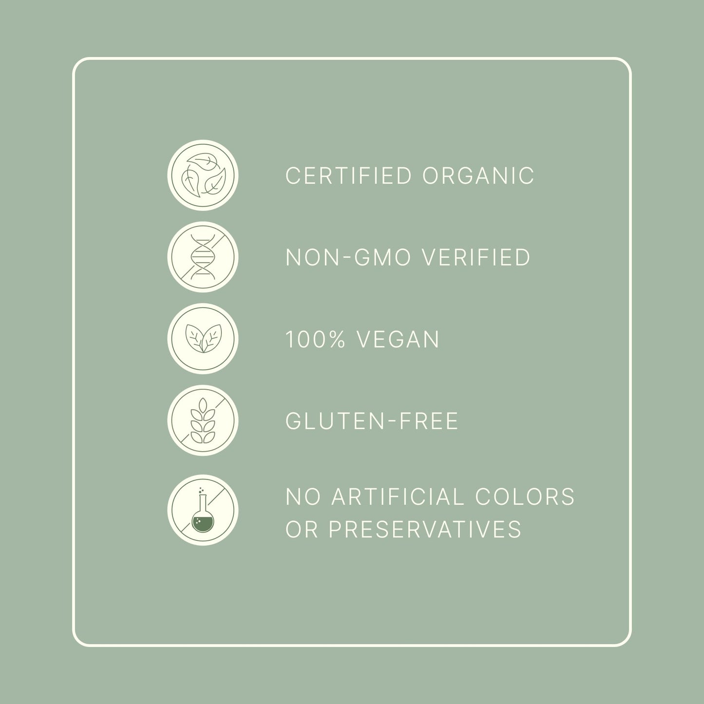 Dr. Murray's USDA Organic Plant Based Protein Powder | 20g Protein | 6g Fiber | Vegan & Keto | Gluten & Dairy Free | Low Carb | No Added Sugar | Matcha, 1 lb.