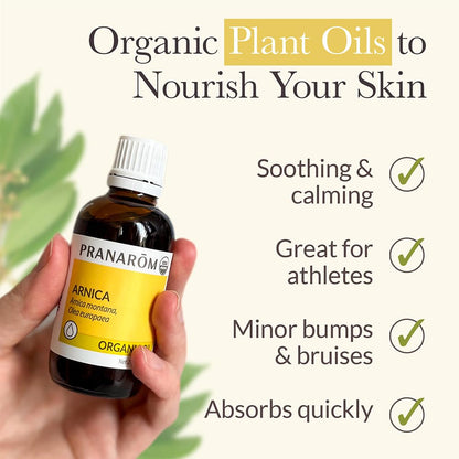 Pranarom - USDA Certified Organic French Arnica Virgin Plant Oil - 2 fl oz Glass Bottle - Massage Oil for Body