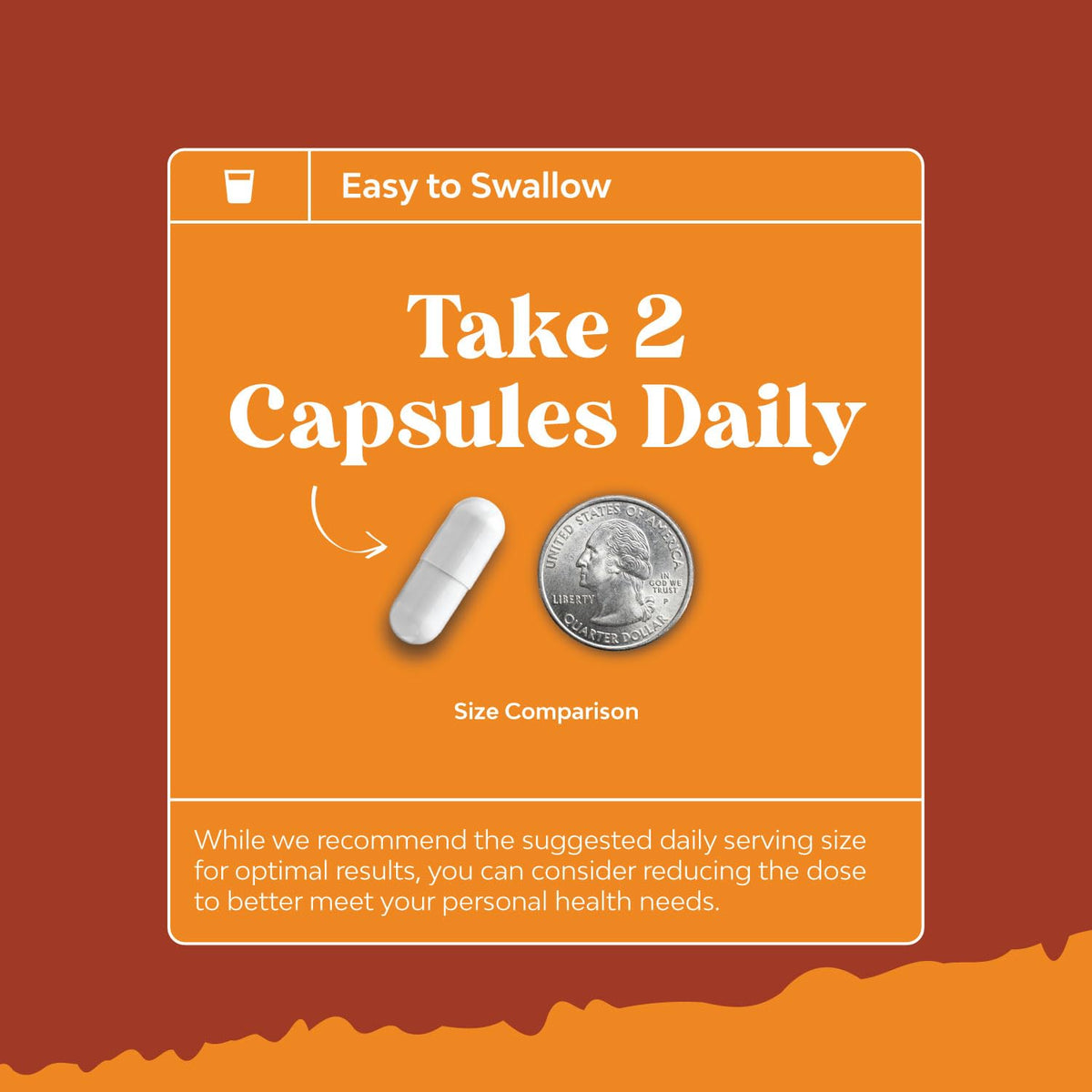 Natural White Kidney Bean Extract - White Kidney Bean Energy Booster AMPK Activator