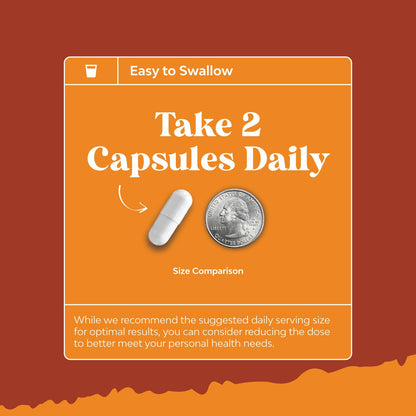 Natural White Kidney Bean Extract - White Kidney Bean Energy Booster AMPK Activator