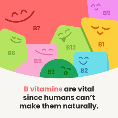 USDA Organic Vitamin B Complex Liquid Drops Sublingual B12 Methylcobalamin | B1, B2, B3, B5, B6, B7, B9 | Methylated B Vitamins Complex for Women & Men | Biotin, Niacinamide, Folate & Folic Acid, 2oz