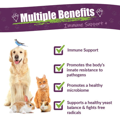 Amber NaturalZ Vibactra Plus for Pets, Immune Health & Yeast Balance, 1 OZ | Supports overall immune health, stomach & respiratory health, helps pets maintain normal yeast balance & a healthy microbiome
