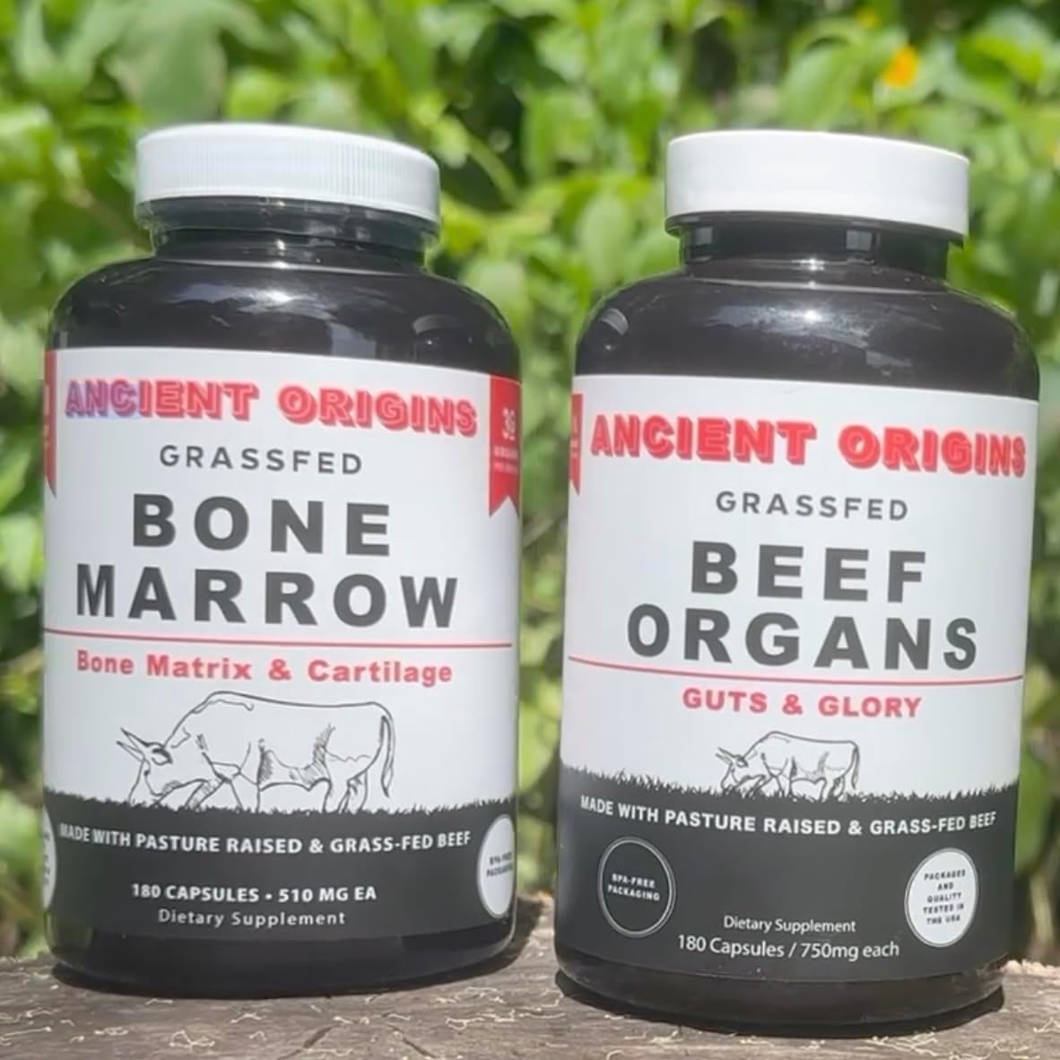 Ancient Origins Beef Organs and Bone Marrow Combo Pack