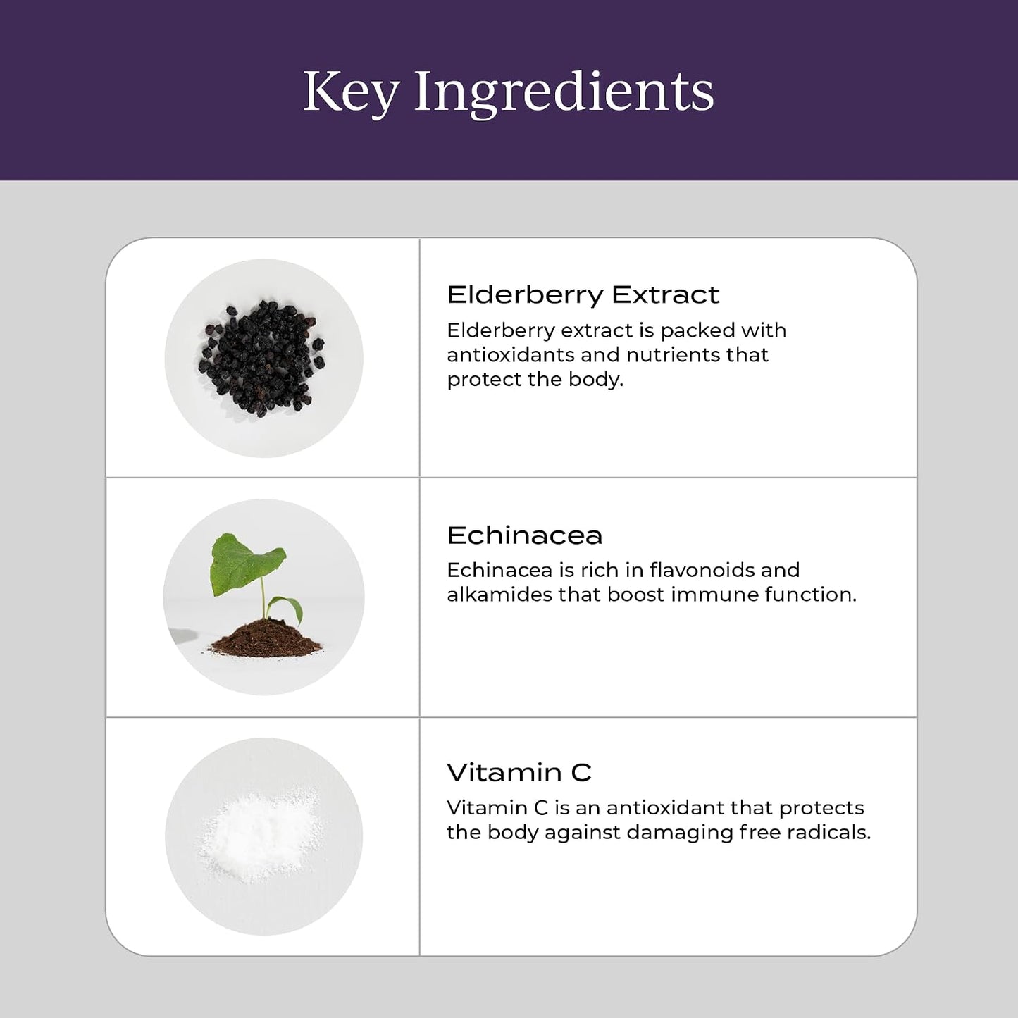 CYMBIOTIKA Liposomal Elderberry with Vitamin E for Immune Support
