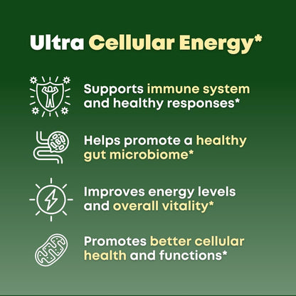 Beta Glucan & Fucoidan Brown Seaweed Extract - L Glutathione, Shiitake, Agaricus Blazei Mushroom, Vitamin C - Immune, Cellular, Healthy Aging Support - 90 Capsules, Non GMO, Gluten Free Supplement