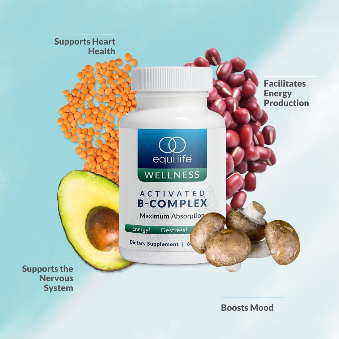 Equilife - Activated B Complex (60 ct.), Full Spectrum Magnesium (180 ct.), Daily Activated Multi-Vitamin (30 Servings)