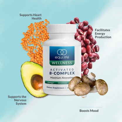 Equilife - Activated B Complex (60 ct.), Full Spectrum Magnesium (180 ct.), Daily Activated Multi-Vitamin (30 Servings)