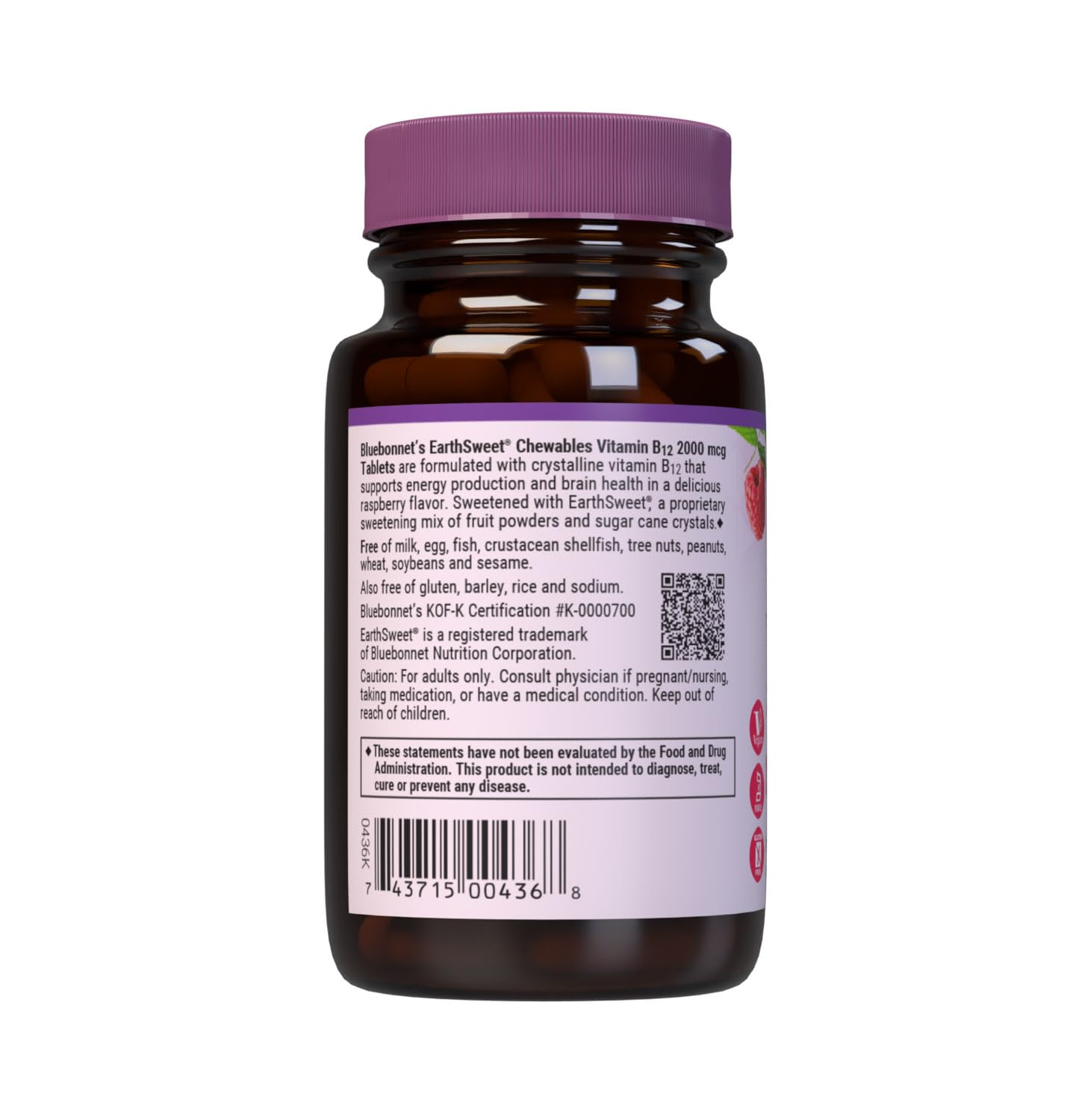 BlueBonnet Nutrition Earth Sweet Vitamin B12 1000 mcg & Folic Acid 400mcg - Brain Health & Energy Vitamins for Women & Men - Vegan, Gluten-Free Raspberry B 12 Vitamin - 90 Chewable Tablets