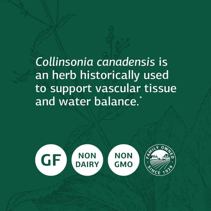 Standard Process Collinsonia Root - Whole Food Vascular Supplement, Digestive Health
