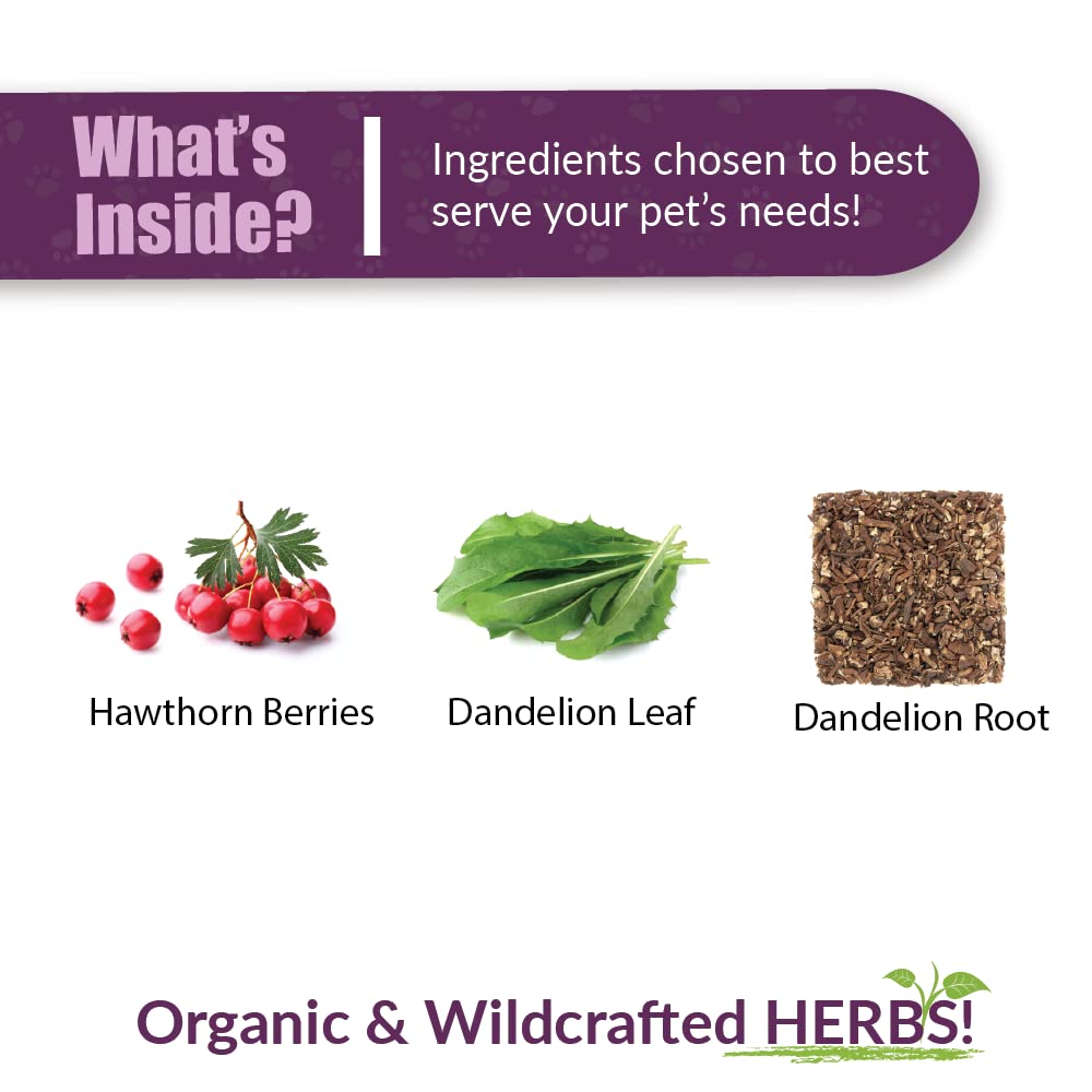 Amber NaturalZ Hawthorn & Dandelion for Pets, Heart & Circulation Care, 1oz | Maintains optimal cardiovascular wellness in pets. Supports normal heart function, healthy blood circulation & fluid balance.