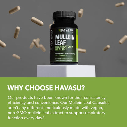 500mg Mullein Extract for Lung Support and Respiratory Health, 30 Count | Mullein Leaf Capsules for Respiratory Health, Vegan, Non-GMO Herbal Supplement for Overall Daily Wellness, 1 Month Supply