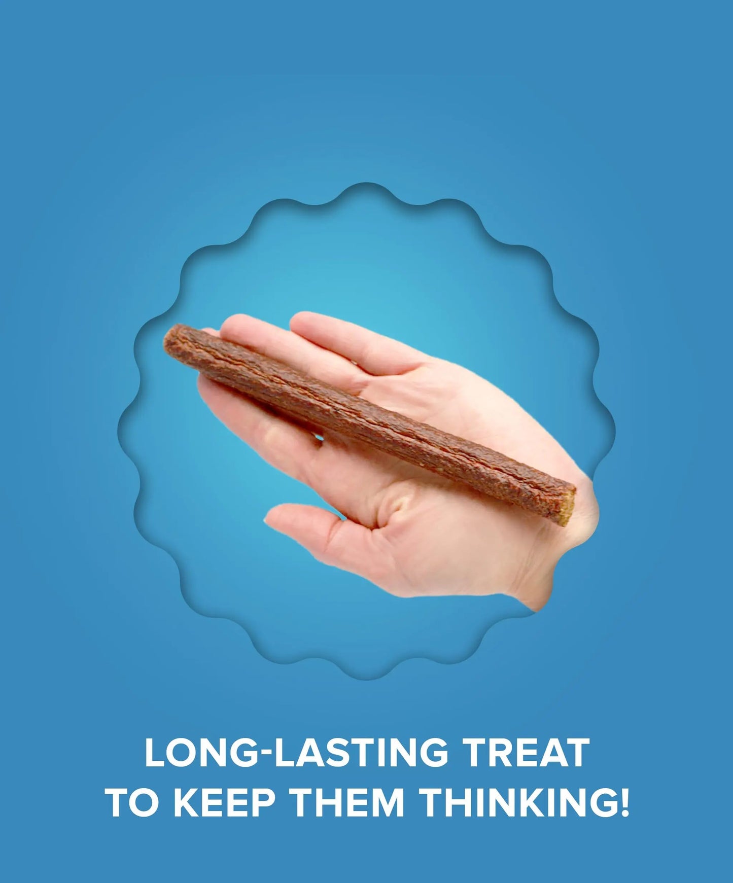 Plato Pet Treats Thinkers - Meat Stick Treats for Dogs - Limited Ingredient with EPA and DHA to Support Skin, Coat, and Brain - Air-Dried - Thinkers Salmon 10oz - 2 Pack