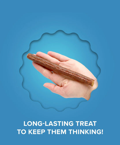Plato Pet Treats Thinkers - Meat Stick Treats for Dogs - Limited Ingredient with EPA and DHA to Support Skin, Coat, and Brain - Air-Dried - Thinkers Salmon 10oz - 2 Pack