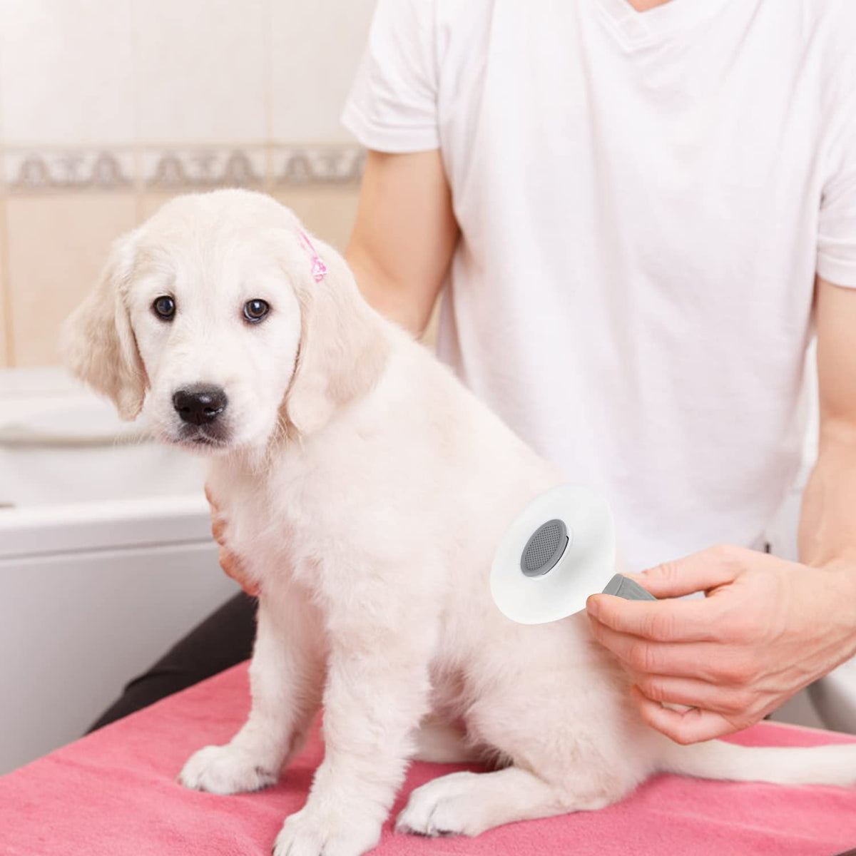 Depets Self Cleaning Slicker Brush, Dog Cat Bunny Pet Grooming Shedding Brush