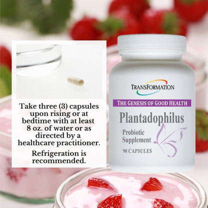 Transformation The Genesis of Good Health Enzymes Plantadophilus Natural Plant-Based Probiotics Supplement, Practitioner Recommended, Non-GMO, for Digestive Health, Immune Support, Gut Balance, 90