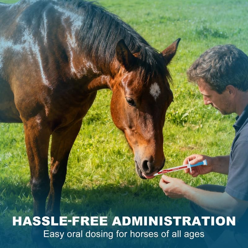 Ivermectin Horse Paste Dewormer , Horse Wormer Paste, Apple Flavor, 0.21 Ounces, 6 Pack