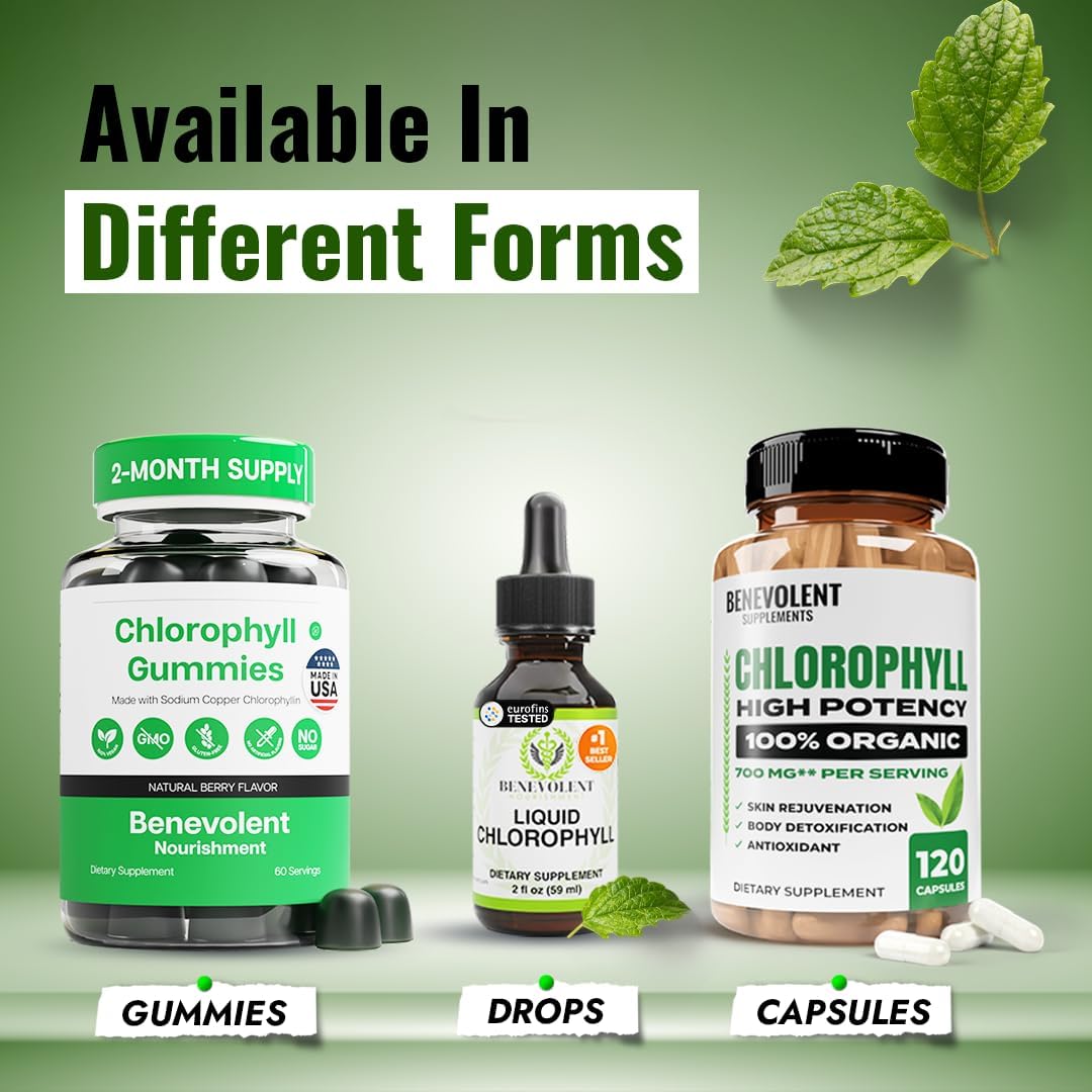 Benevolent Nourishment Chlorophyll Supplement, Detox & Immune Support, Internal Deodorizer, Liquid Drops