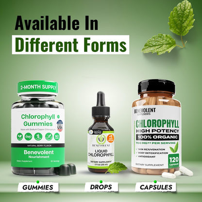 Benevolent Nourishment Chlorophyll Supplement, Detox & Immune Support, Internal Deodorizer, Liquid Drops