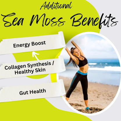 Advanced Bionetix Organic Irish Sea Moss Capsules, Raw Wildcrafted Seamoss Enhanced w/Bladderwrack & Burdock Root Capsules 120 Total Pills Antioxidant Packed. Prebiotic Superfood, Thyroid Support