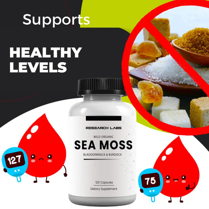 Research Labs 2 Fer 1 Ad Organic Irish Sea Moss Capsules 240 Total Pills, Raw Wildcrafted Seamoss Enhanced w/Bladderwrack & Burdock Root Antioxidant Powerhouse. Thyroid Support