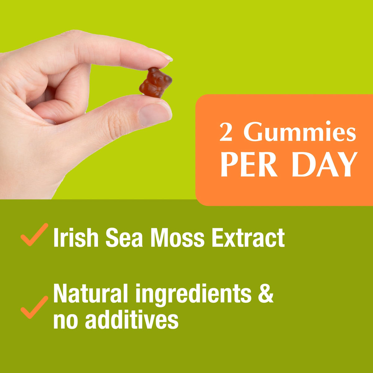 Jiva Botanicals - Irish Sea Moss Gummies with Bladderwrack & Burdock Root 3000mg