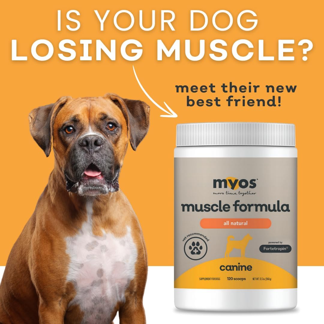 Powered by Fortetropin All-Natural Dog Muscle Builder and Mobility Support Supplement for Strength and Recovery - Helps Reduce Muscle Loss Due to Normal Aging, 360g