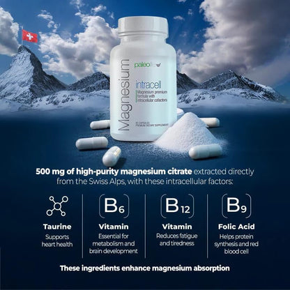 Premium Magnesium INTRACELL - 500 mg - 120 Capsules (2-Pack)