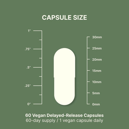 Dr. Murray's Ultra Clean DIM 200 mg & BioPerine Vegan Capsules - Delayed-Release | Estrogen Metabolism Support | Hormonal Balance | Third-Party Tested | GMP Certified| Soy Free & Non-GMO | 60 Count