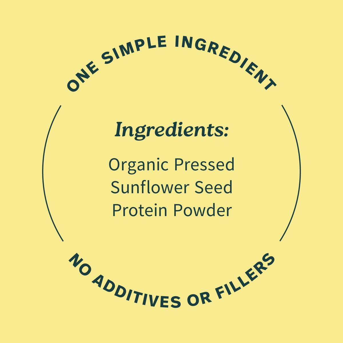 Sprout Living Organic Pumpkin Seed Protein Powder, Unflavored, 20 Grams of Plant Based Protein Powder Without Artificial Sweeteners, Non Dairy, Non-GMO, Vegan, Gluten Free (1 Pound, 14 Servings)