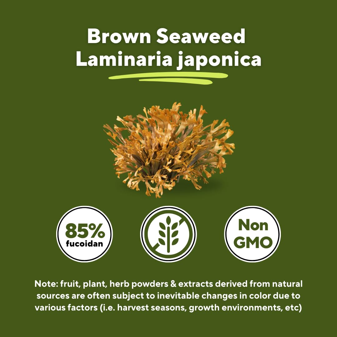Vitapia Pure Fucoidan 85% Brown Seaweed Extract for Immune, Strong Cellular Health, Digestive Support - 1000mg Fucoidan Per Serving - 120 Veggie Capsules Non-GMO, Gluten-Free, Vegan-Friendly