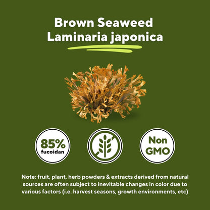 Vitapia Pure Fucoidan 85% Brown Seaweed Extract for Immune, Strong Cellular Health, Digestive Support - 1000mg Fucoidan Per Serving - 120 Veggie Capsules Non-GMO, Gluten-Free, Vegan-Friendly