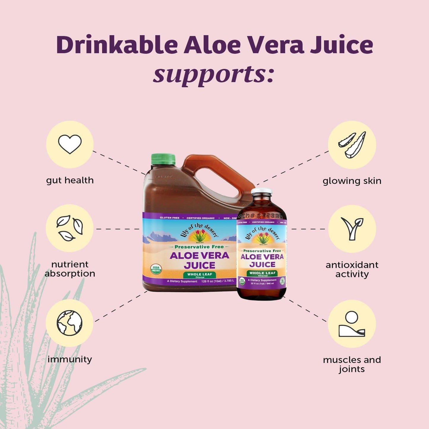 Lily Of The Desert Aloe Vera Juice, Whole Leaf, Organically Grown, Non-GMO, 64 Fl Oz