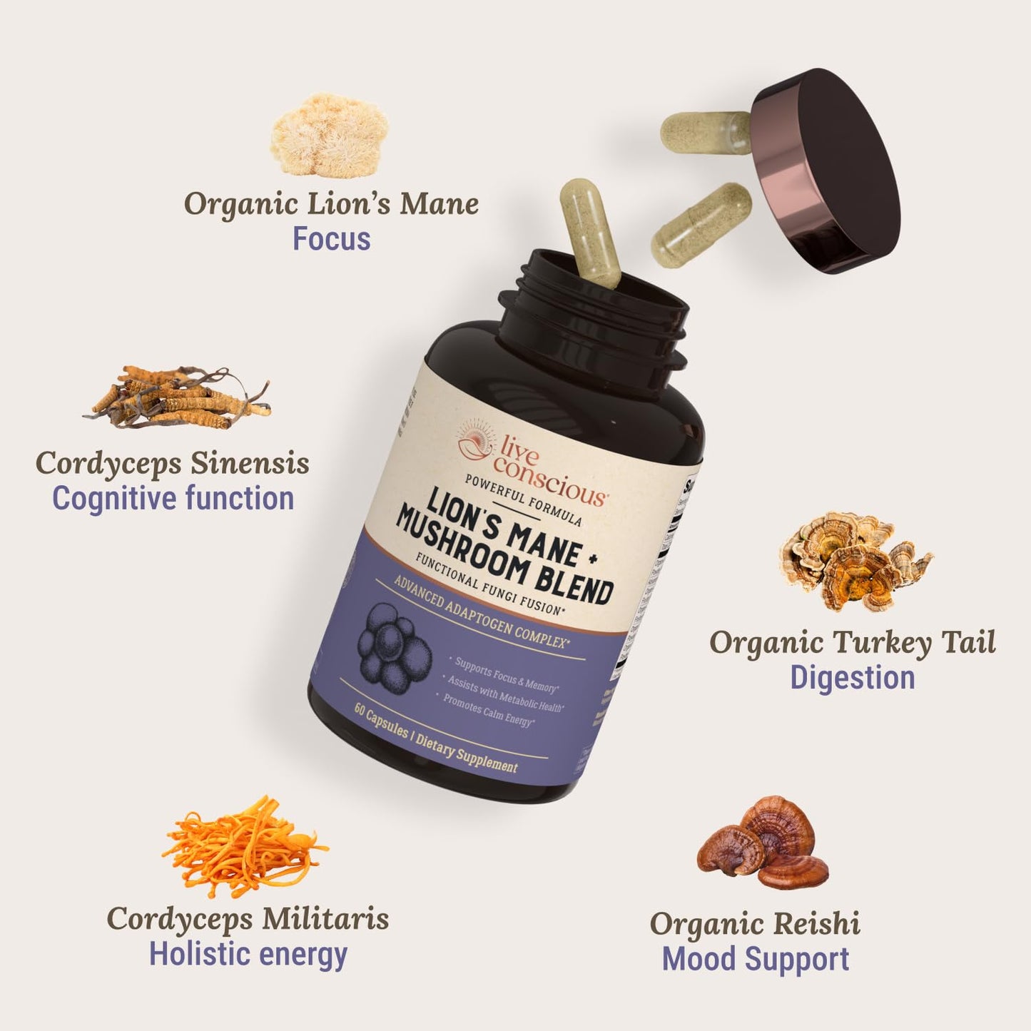 Live Conscious Lions Mane Mushroom Supplement Capsules for Brain Support w/Lion's Mane, Cordyceps, Reishi, and Turkey Tail Mushrooms - Cognitive Memory Supplement for Brain