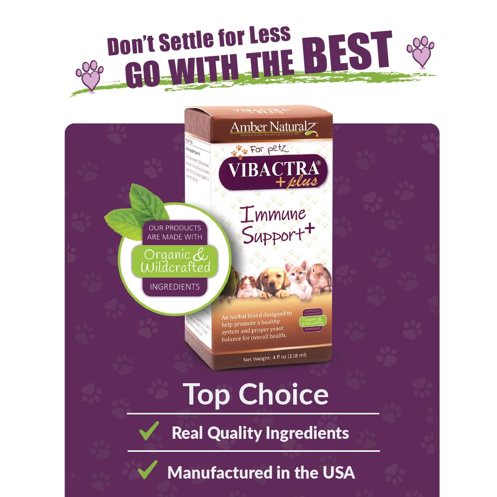 Amber NaturalZ Vibactra Plus for Pets, Immune Health & Yeast Balance, 1 OZ | Supports overall immune health, stomach & respiratory health, helps pets maintain normal yeast balance & a healthy microbiome