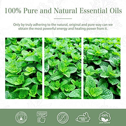 PHATOIL Spearmint Essential Oil 100ML, Pure Premium Grade Spearmint Essential Oils