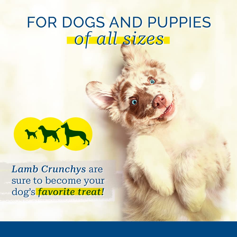 PCI Pet Center Inc Lamb Crunchys raw dehydrated Lamb Dog Treats, 16 oz Pack | Made in USA dog treats from single-ingredient lamb lung, for dogs of all ages - can be used for training or daily treats