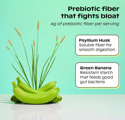 wholier Vanilla Plant Protein, 21g, 4g Fiber, Prebiotics, 14 Servings