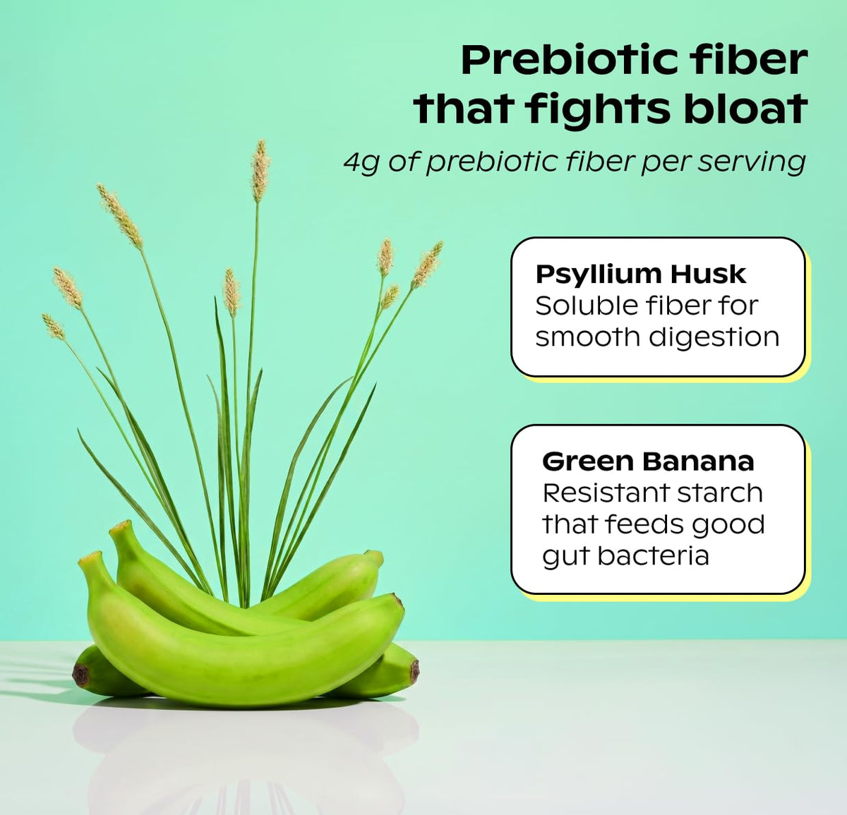 wholier Vanilla Plant Protein, 21g, 4g Fiber, Prebiotics, 14 Servings
