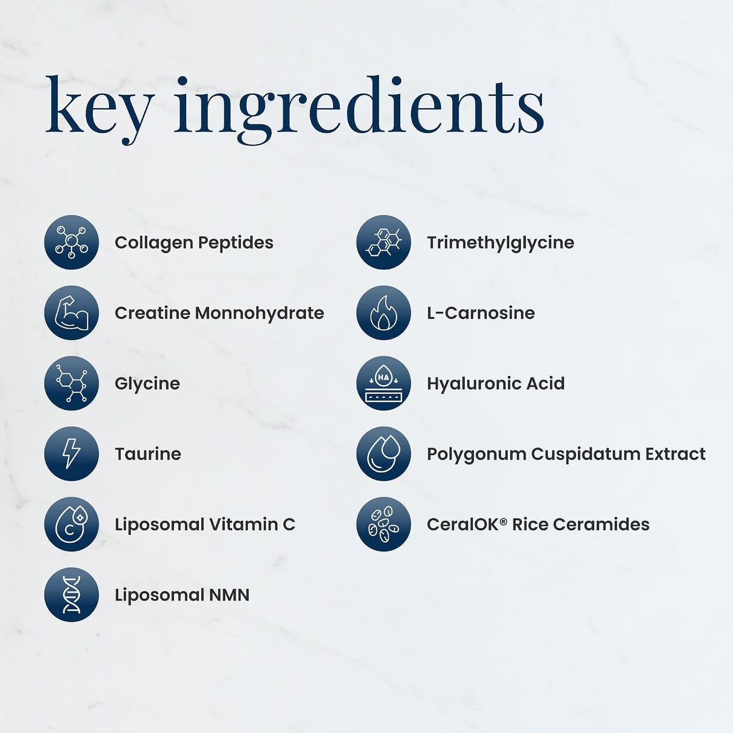 Renue Blue Skin Essentials Chocolate Drink Mix | Collagen Peptides Creatine & Protein Powder | Collagen (12g) Creatine (5g) Protein (15g) per Serving | Skin Hydration & Elasticity Support | 15 Sachets