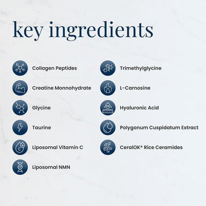 Renue Blue Skin Essentials Chocolate Drink Mix | Collagen Peptides Creatine & Protein Powder | Collagen (12g) Creatine (5g) Protein (15g) per Serving | Skin Hydration & Elasticity Support | 15 Sachets
