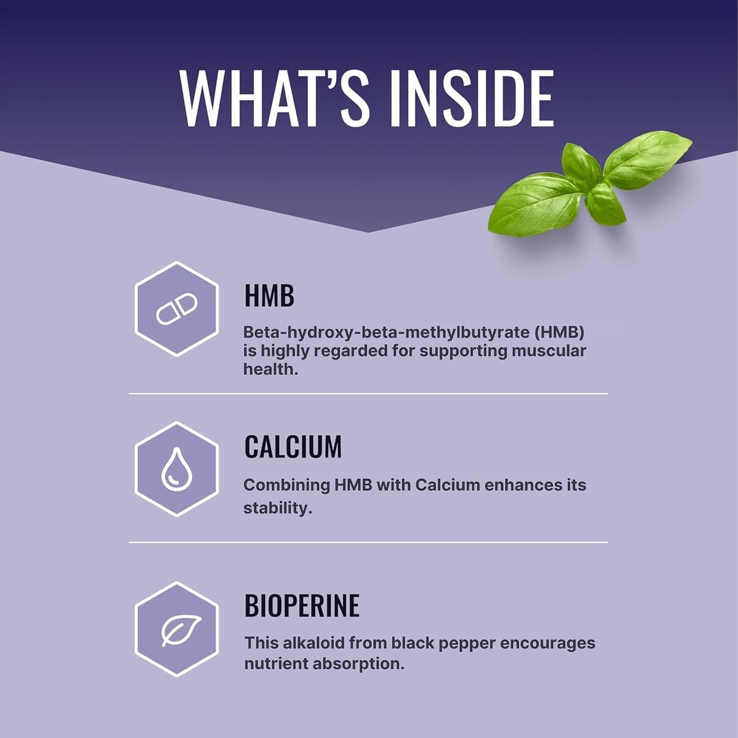 Approved Science HMB - 1500mg High Potency HMB Supplement with Calcium & BioPerine for Absorption - Muscle Health & Exercise Performance - 60 Vegan Capsules - 1 Month Supply