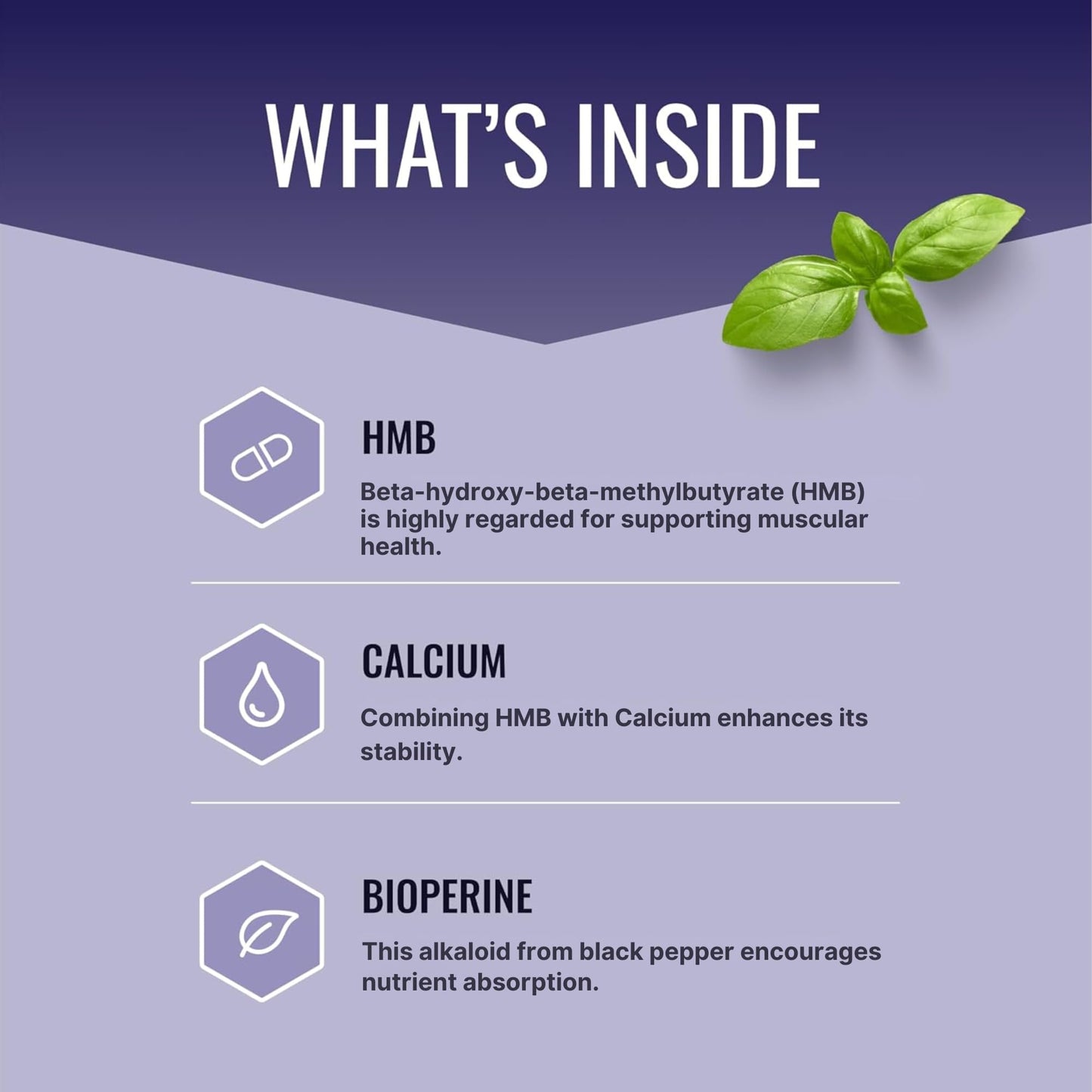 Approved Science HMB - 1500mg High Potency HMB Supplement with Calcium & BioPerine for Absorption - Muscle Health & Exercise Performance - 60 Vegan Capsules - 1 Month Supply