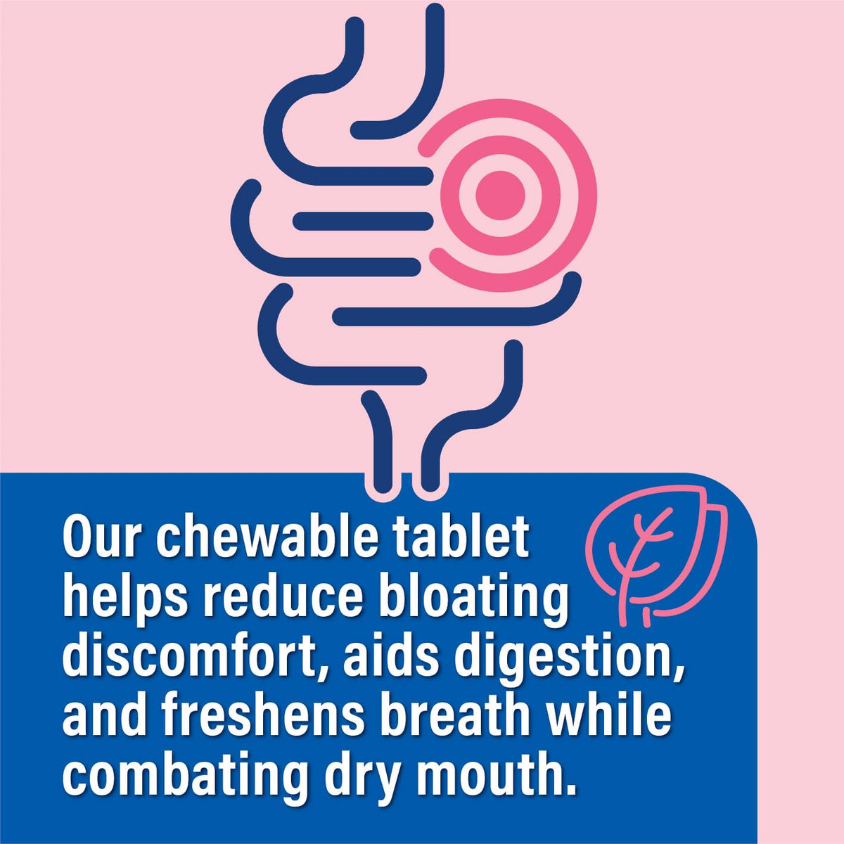 Probiotiv Chewable Probiotics for Daily Bloating w/ 5 Billion CFU – “Two-in-One Combo”