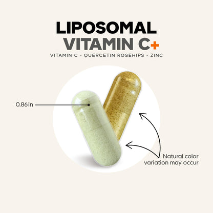 Codeage Liposomal Vitamin C 1500mg with Zinc, Elderberry, Citrus Bioflavonoids Grapefruit, Lemon, Orange Powder, Quercetin & Rose Hips Fruit – Vegan Supplement - Non-GMO, Vegan Pills, 180 Capsules