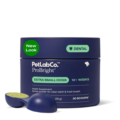 PetLab Co. ProBright Dental Powder for Small Dogs, 30 Scoops | Brown algae, green tea and probiotics in one easy daily scoop to support tartar and fresh breath