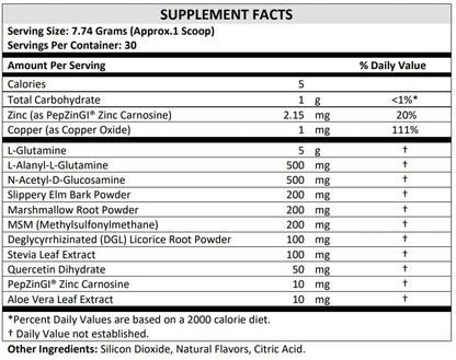 TERRA ORIGIN Healthy Gut Powder (Honey Lemon) | 30-Servings with L-Glutamine
