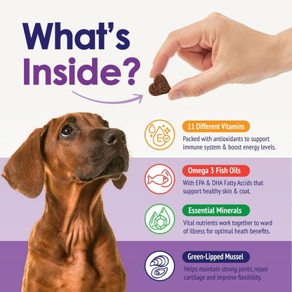 Dog Multivitamin Chewable - 22 in 1 Dog Vitamins and Supplements with Green Lipped Mussel & Omega 3 for Joints, Skin & Coat, Immune System - Senior & Puppy Multivitamin for Dogs - 60 Beef Chews