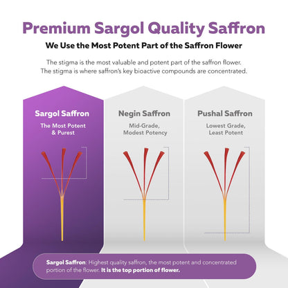 Organic Saffron Extract: Optimized Extract with Safromotivines, Safranal, and Crocins – Clinically Studied | Premium Persian Sargol Quality | Supports Mood, Calmness, and Relaxation – 30 Servings