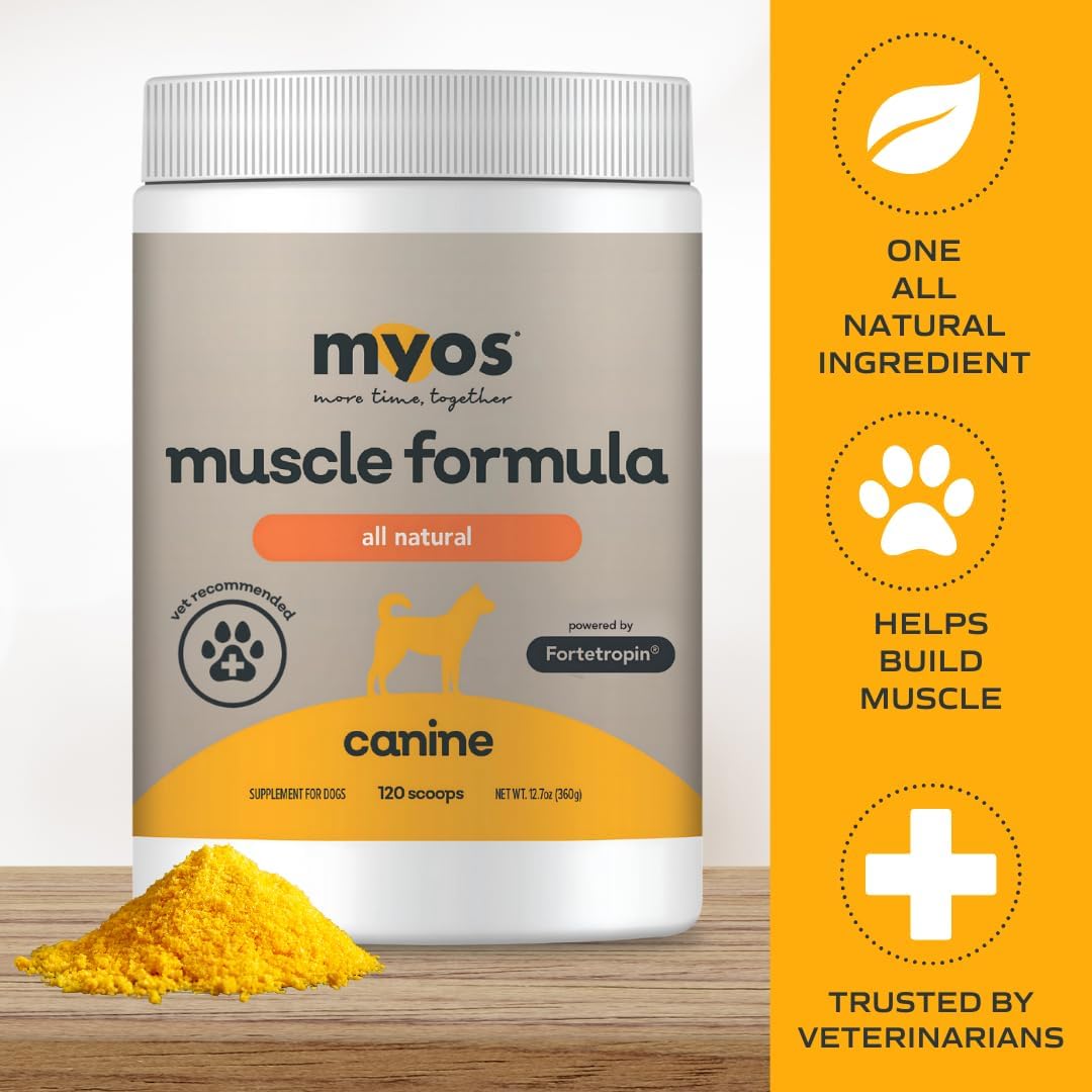 Powered by Fortetropin All-Natural Dog Muscle Builder and Mobility Support Supplement for Strength and Recovery - Helps Reduce Muscle Loss Due to Normal Aging, 360g