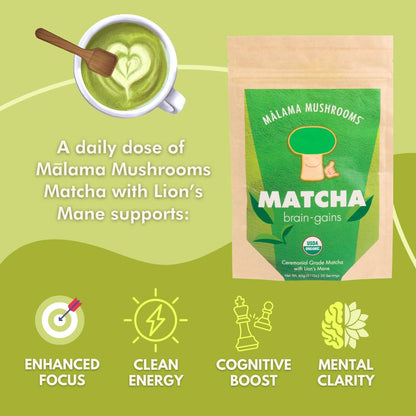 Malama Matcha Powder Duo Bundle – Ceremonial Grade Matcha Original & Coconut Latte Powders with Organic Lion’s Mane – Premium Japanese Green Tea | Organic, Gluten-Free & Vegan for Energy & Focus